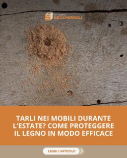 Con l’estate arrivano anche padroni di casa decisamente indesiderati.

Sì, parliamo dei tarli del legno.
Con l’aumento delle temperature e dell’umidità, questi insetti trovano le condizioni perfette per entrare in azione, mettendo a rischio arredi, travi, infissi e dettagli di valore della tua casa.

Il segreto per evitare danni irreparabili alle strutture? Agire subito.

Sul nostro blog abbiamo spiegato quali sono i primi segnali d'allarme a cui prestare attenzione e come intervenire tempestivamente per proteggere il tuo legno.
👉 https://eshop.grupposecchiaroli.it/blog/tarli-nei-mobili-durante-lestate-come-proteggere-il-legno-in-modo-efficace/

𝗚𝗿𝘂𝗽𝗽𝗼 𝗦𝗲𝗰𝗰𝗵𝗶𝗮𝗿𝗼𝗹𝗶.
𝑫𝒂𝒍 1949 𝒂𝒍 𝒕𝒖𝒐 𝒔𝒆𝒓𝒗𝒊𝒛𝒊𝒐 𝒏𝒆𝒍𝒍'𝒆𝒅𝒊𝒍𝒊𝒛𝒊𝒂.
📧 info@grupposecchiaroli.it
.
#caseinlegno #legno #paglia #edilizia #bioedilizia #sostenibilità #efficienzaenergetica #madeinitaly