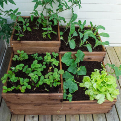 Orto in legno Losa four - immagine 1